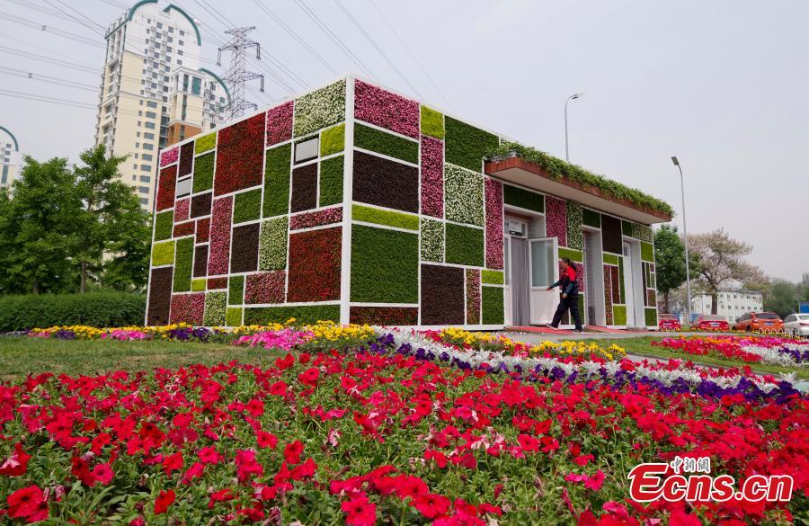 Beijing public toilet takes a floral facelift 