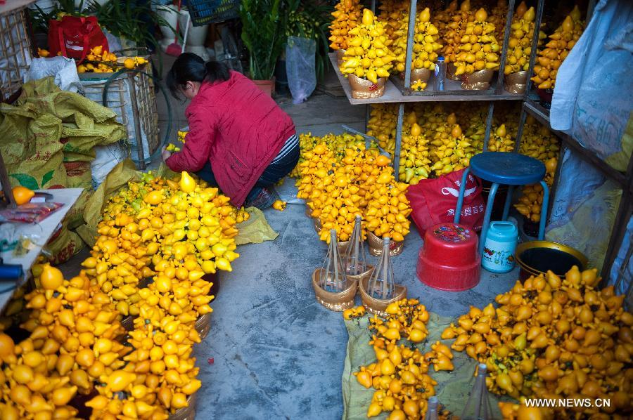 Flowers with propitious implications go popular before Spring Festival ...